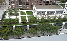 Green Roof at 808 Columbus Ave. NYC